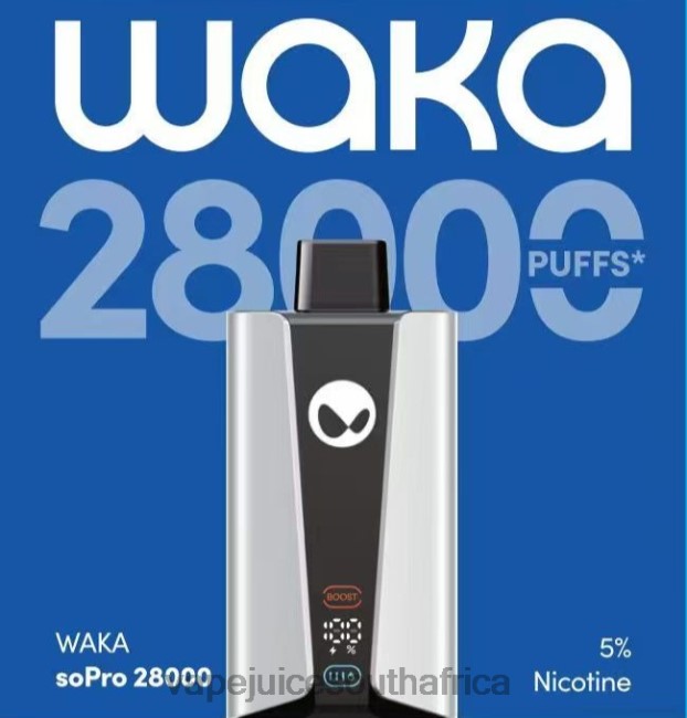 Vape Juice South Africa - RELX WAKA SoPro 28000 Multi Flavor 2226R31