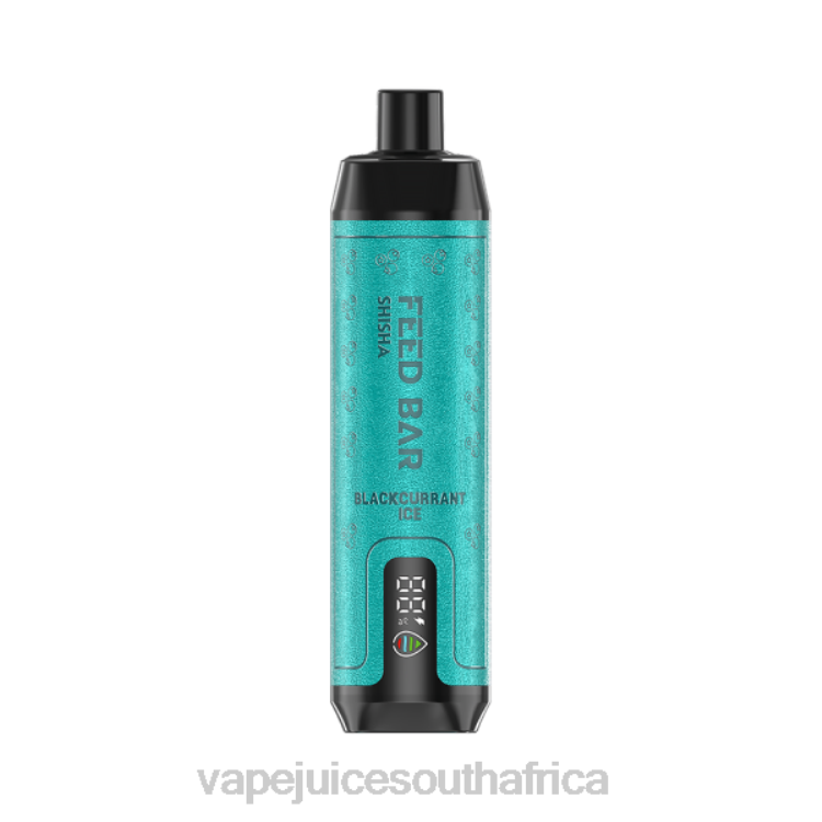 Pod Juice Flavo - Vapsolo SHISHA Disposable Vape Blackcurrant Ice V2R6114