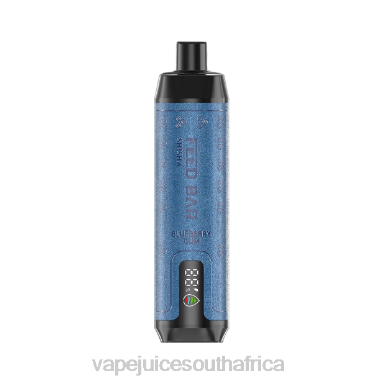 Vape Juice South Africa - Vapsolo SHISHA Disposable Vape Blueberry Gum V2R6116