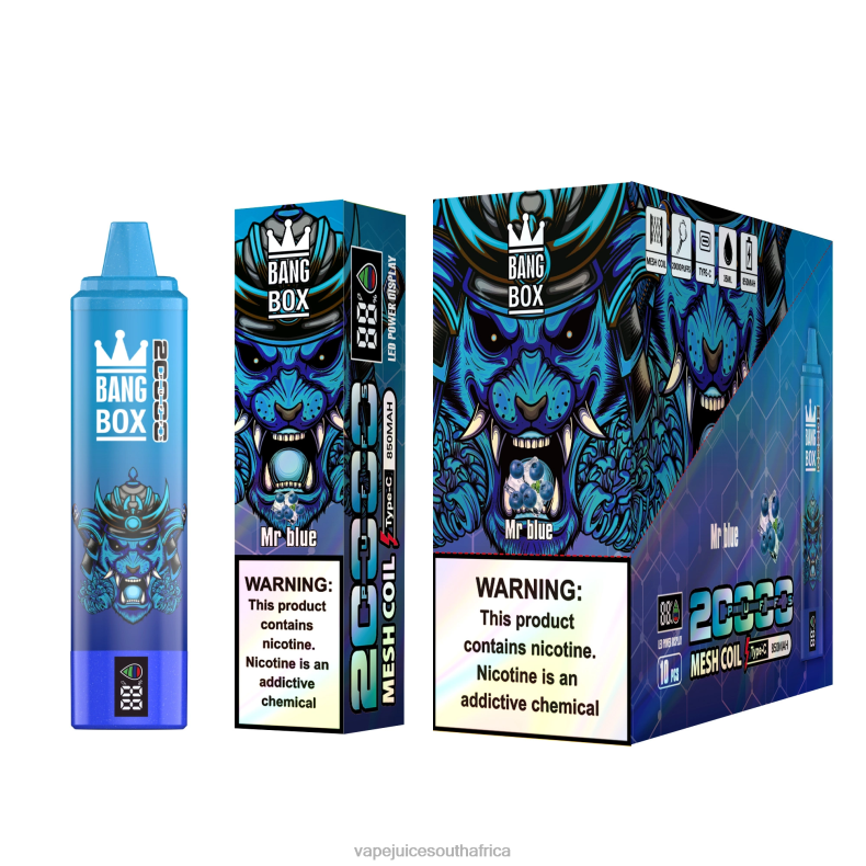 Vape Pens South Africa - Bang Box 20000 Puffs Smart Screen Mr Blue TJ4JJ60