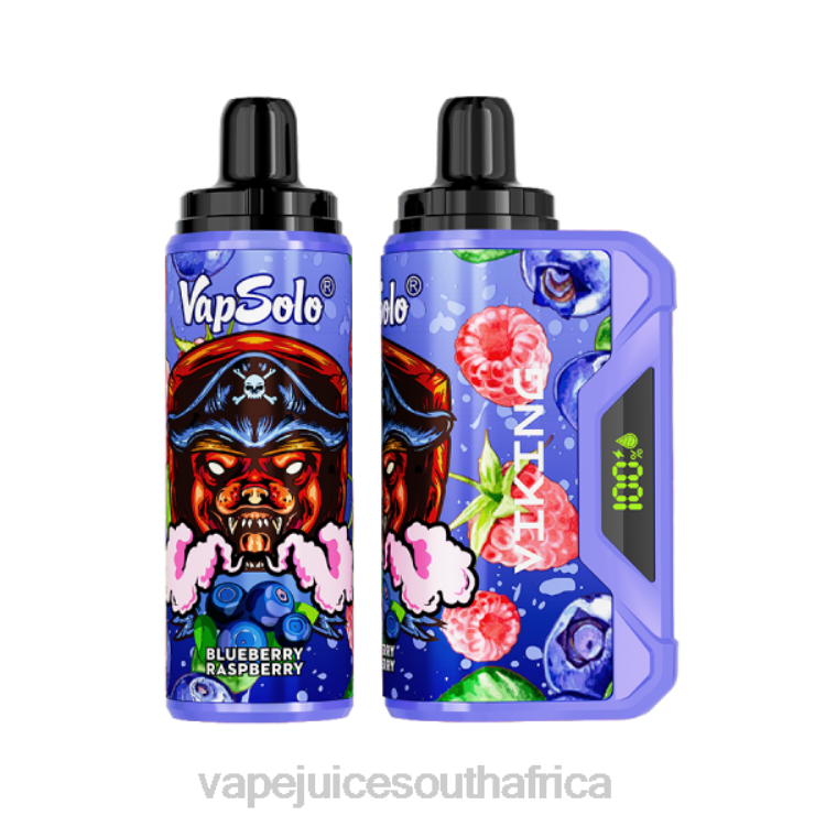 Vape Pens South Africa - Vapsolo VIKING Disposable Vape Blueberry Raspberry V2R6150