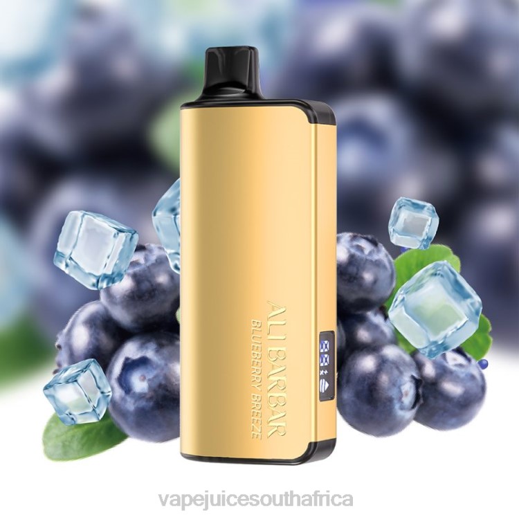 Vape Pods - Alibarbar Ingot 20000 Disposable Vape Blueberry Breeze V2R632