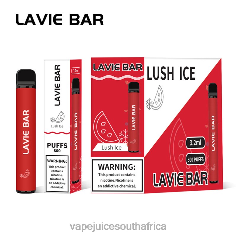 E-Liquid Vape - LAVIE BAR 800 Puffs Lush Ice P44HF308