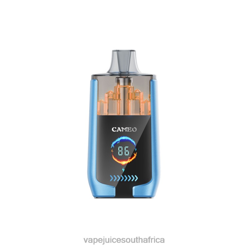 E-Liquid Vape - LAVIE CAMEO 30000 Puffs Strawberry Ice P44HF13