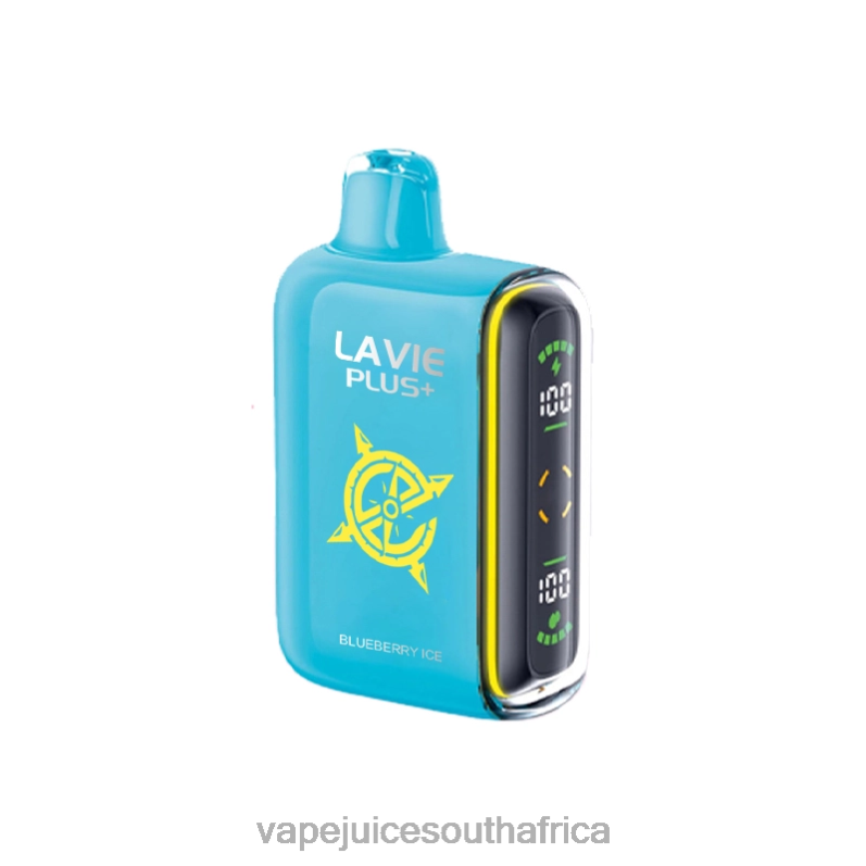 Vape Juice South Africa - LAVIE PLUS 15000 Puffs Blueberry Ice P44HF101