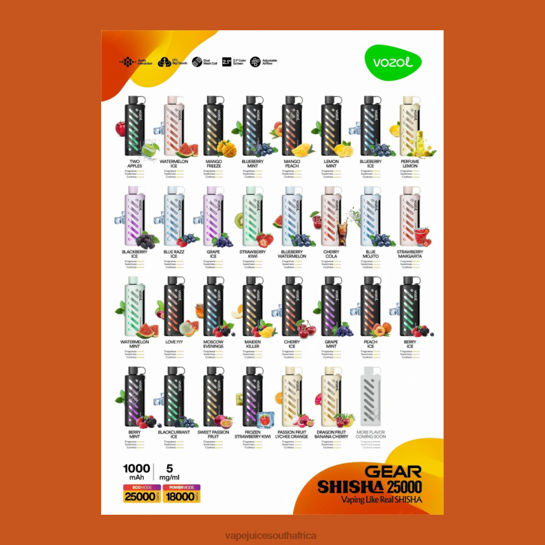 Vape Juice South Africa - VOZOL Gear Shisha 25000 N600R1