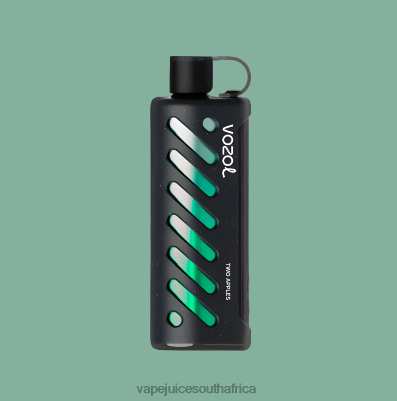 Vape Juice South Africa - VOZOL Gear Shisha 25000 N600R1