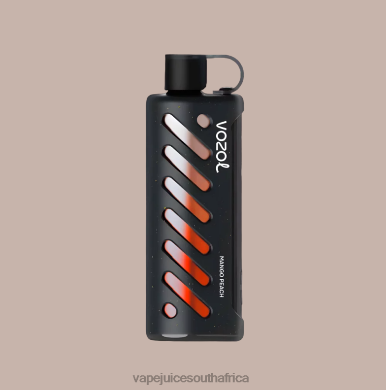 Vape Juice South Africa - VOZOL Gear Shisha 25000 N600R1