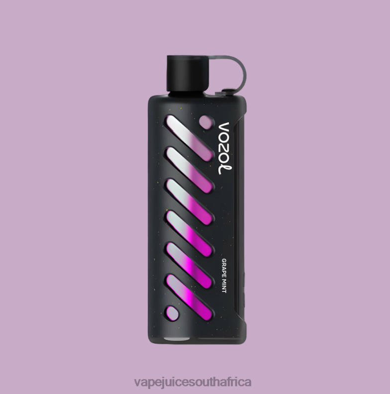 Vape Juice South Africa - VOZOL Gear Shisha 25000 N600R1