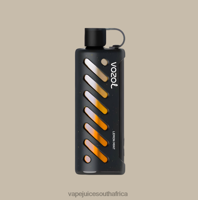 Vape Juice South Africa - VOZOL Gear Shisha 25000 N600R1