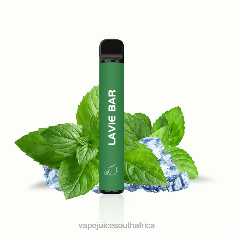 Vape Pens South Africa - LAVIE BAR 2% Version 800 Puffs Cool Mint P44HF320