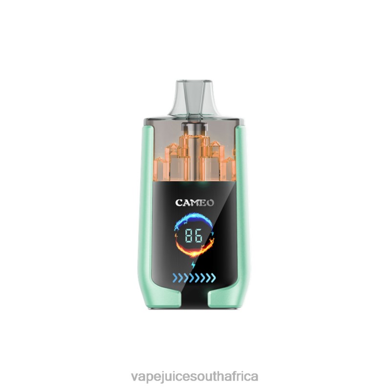 Vape Pens South Africa - LAVIE CAMEO 30000 Puffs Double Apple P44HF20