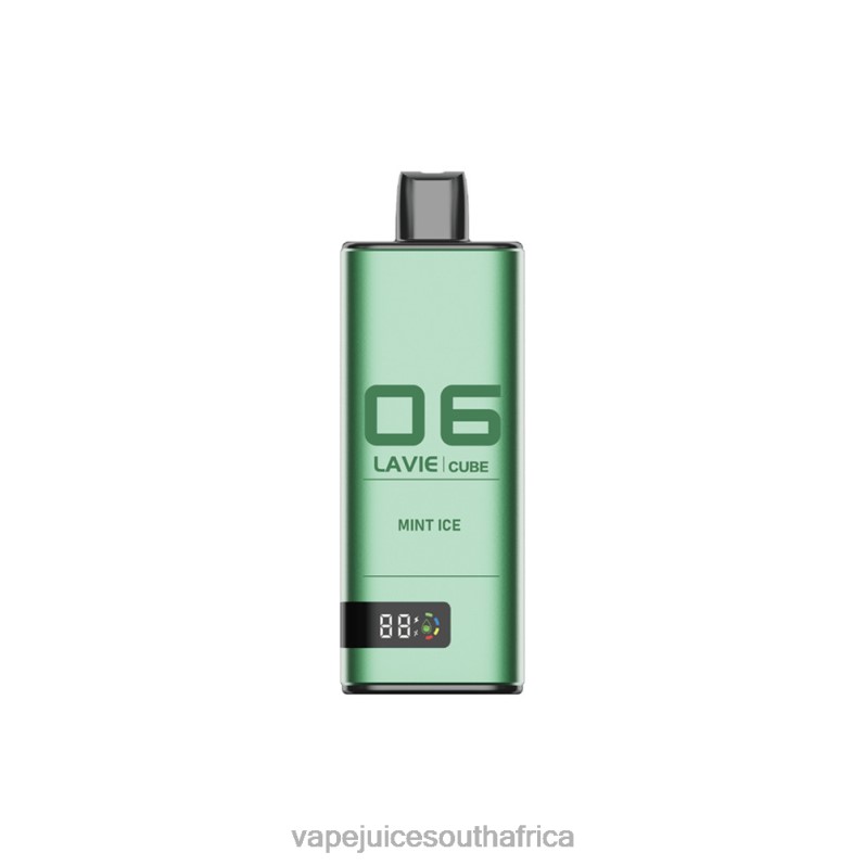 Vape Pens South Africa - LAVIE Cube 20000 Puffs Mint Ice P44HF40