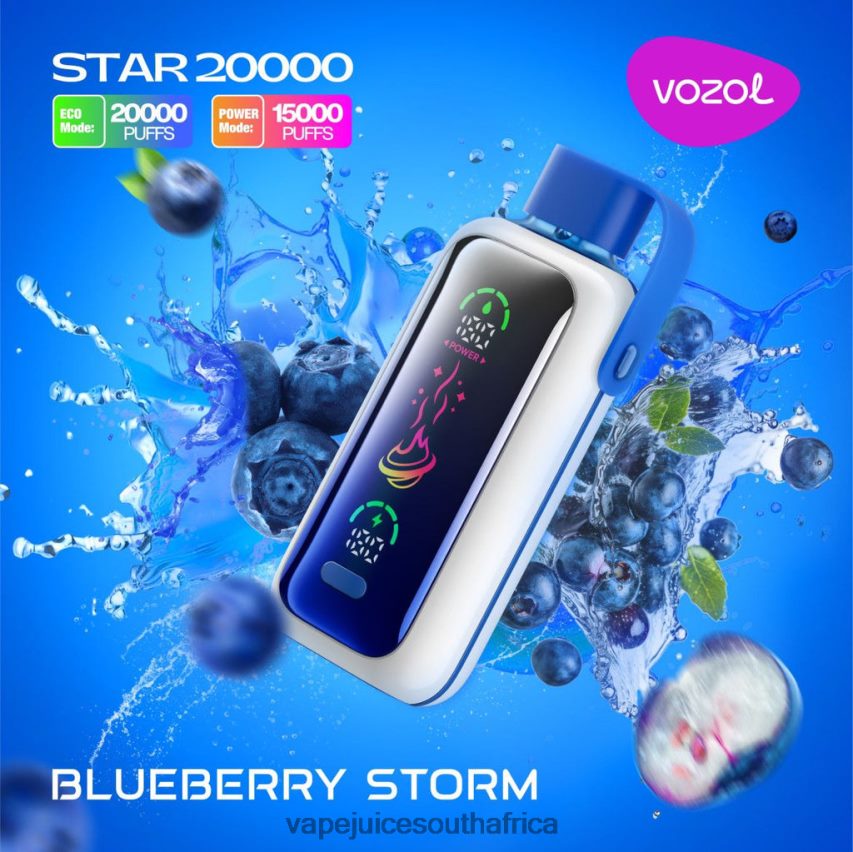 Vape Pens South Africa - VOZOL STAR 20000 82N2P85 BLUEBERRY STORM